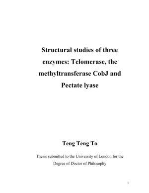 Structural Studies of Three Enzymes: Telomerase, the Methyltransferase Cobj and Pectate Lyase