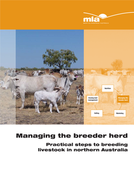 Managing the Breeder Herd