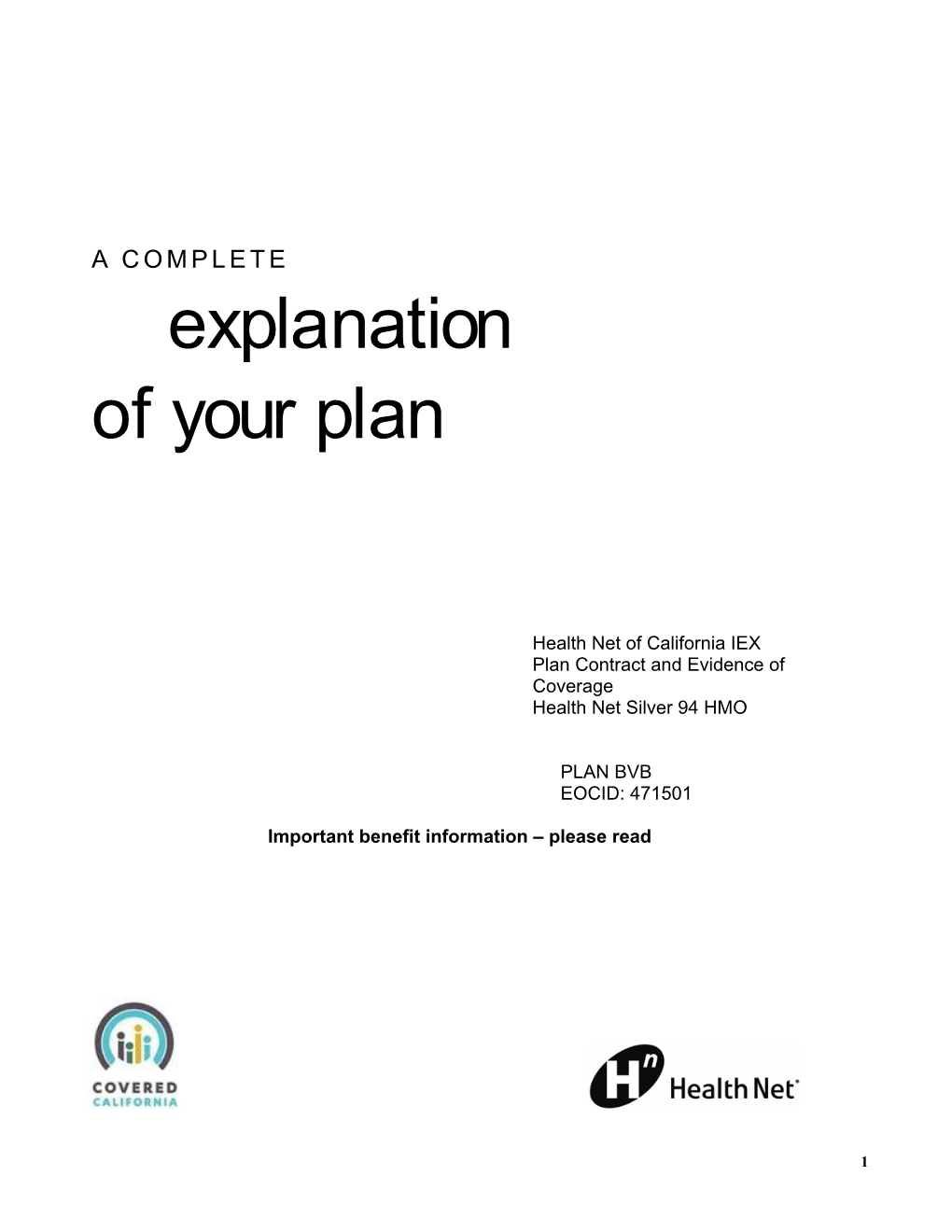 Explanation of Your Plan