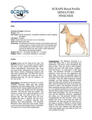 SCRAPS Breed Profile MINIATURE PINSCHER