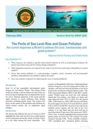 The Perils of Sea Level Rise and Ocean Pollution