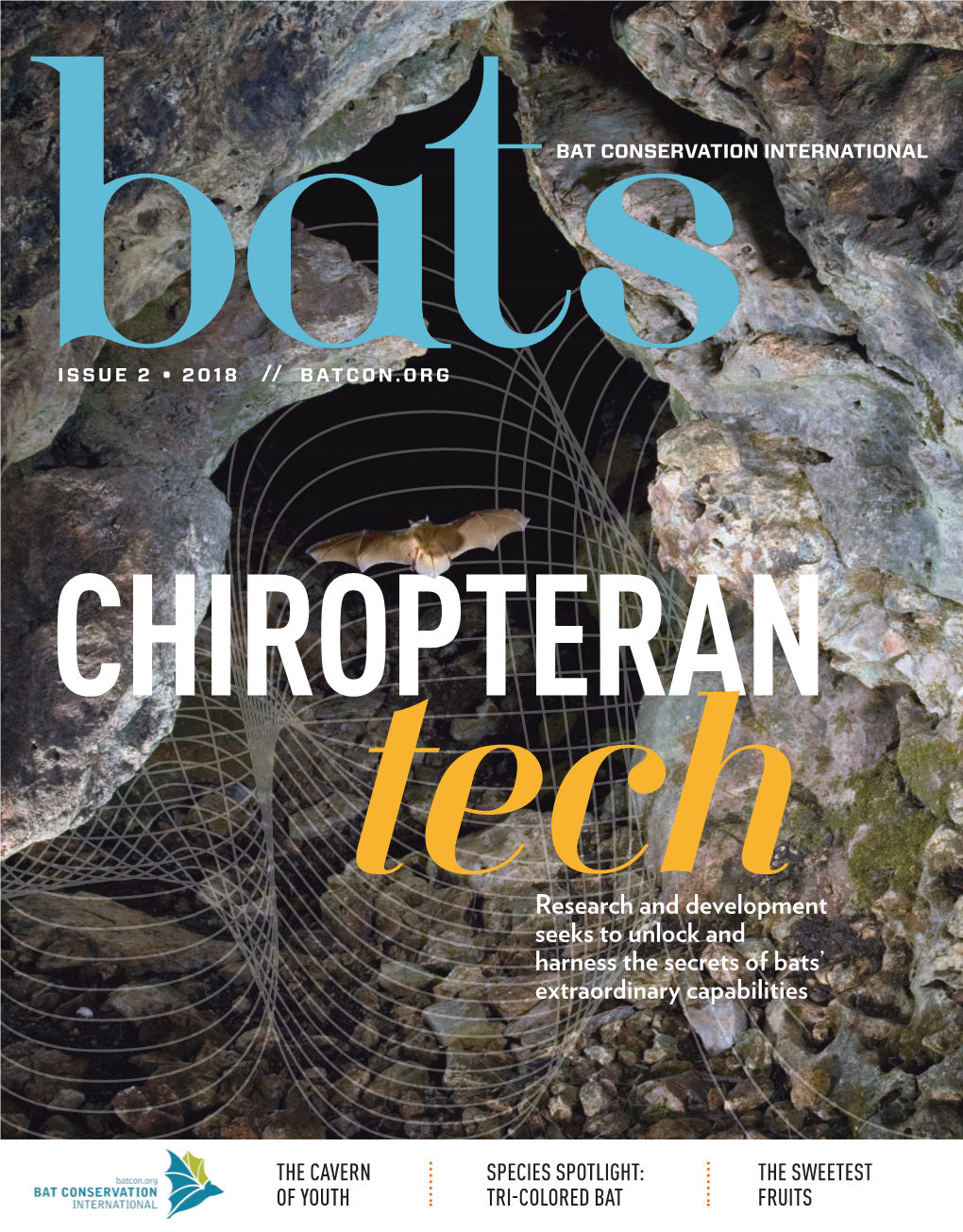 Bciissue22018.Pdf