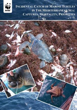 Incidental Catch of Marine Turtles in the Mediterranean Sea: Captures, Mortality, Priorities
