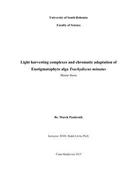 Light Harvesting Complexes and Chromatic Adaptation of Eustigmatophyte Alga Trachydiscus Minutus Master Thesis