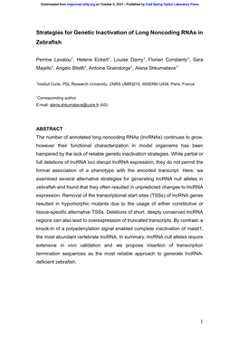 Strategies for Genetic Inactivation of Long Noncoding Rnas in Zebrafish