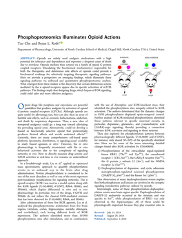 Phosphoproteomics Illuminates Opioid Actions Tao Che and Bryan L