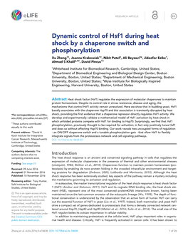 Dynamic Control of Hsf1 During Heat Shock by a Chaperone Switch And