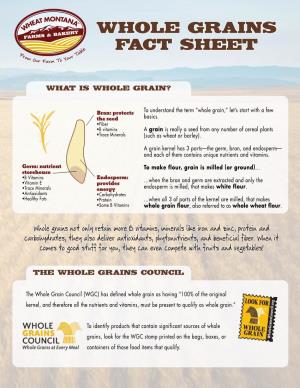 Whole Grains Fact Sheet