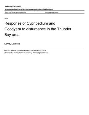 Response of Cypripedium and Goodyera to Disturbance in the Thunder Bay Area