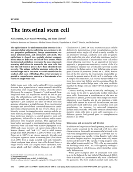 The Intestinal Stem Cell