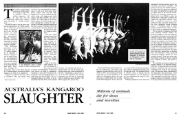 Australia's Kangaroo Slaughter