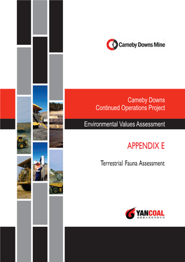 Terrestrial Fauna Assessment