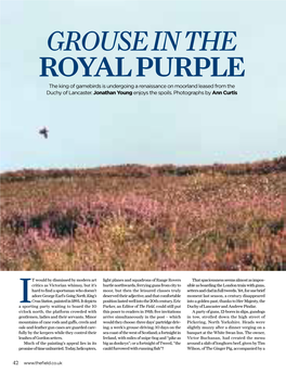 Grouse in the Royal Purple the King of Gamebirds Is Undergoing a Renaissance on Moorland Leased from the Duchy of Lancaster