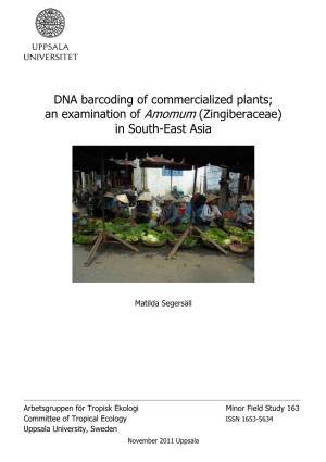 DNA Barcoding of Commercialized Plants; an Examination of Amomum (Zingiberaceae) in South-East Asia