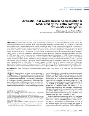 Chromatin That Guides Dosage Compensation Is Modulated by the Sirna Pathway in Drosophila Melanogaster