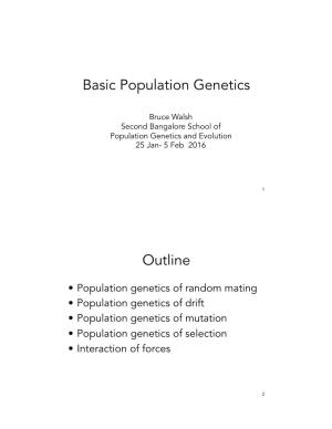 Basic Population Genetics Outline
