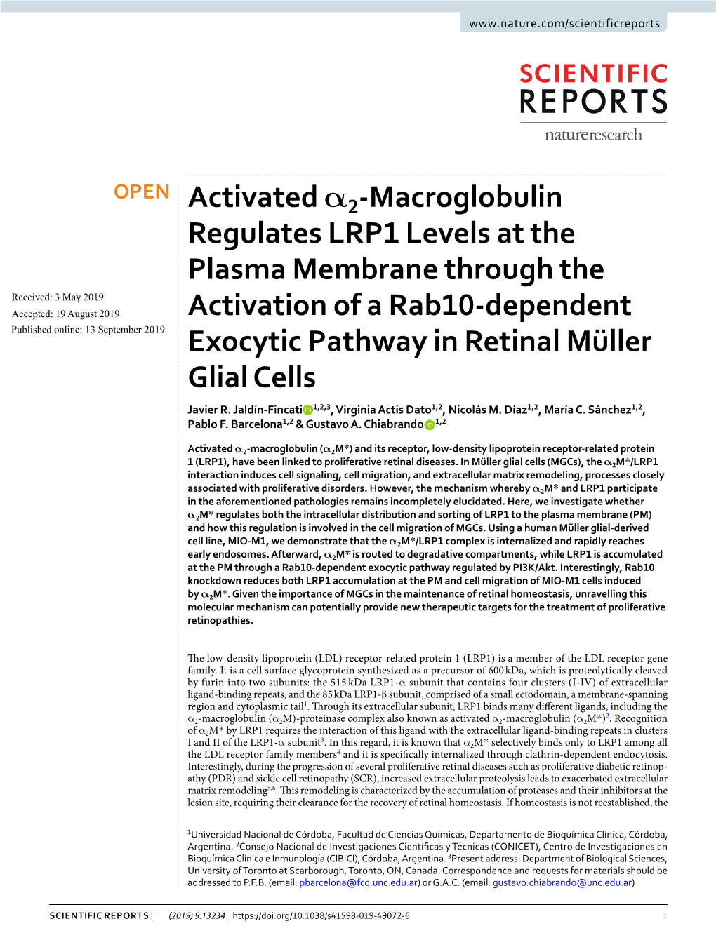 Activated Α2-Macroglobulin Regulates LRP1 Levels at the Plasma