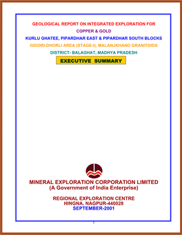 Geological Report on Integrated Exploration