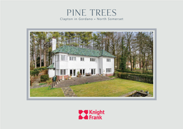 Pine Trees Clapton in Gordano • North Somerset Pine Trees Clapton in Gordano North Somerset
