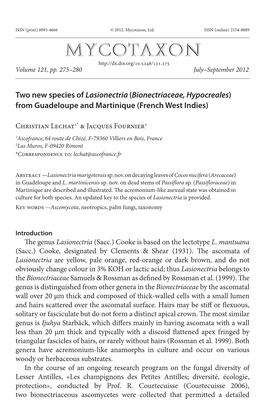Two New Species of &lt;I&gt;Lasionectria&lt;/I&gt; (&lt;I&gt;Bionectriaceae, Hypocreales&lt;/I&gt;) from Guadeloupe and Martiniq