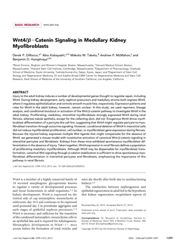 Wnt4/B2catenin Signaling in Medullary Kidney Myofibroblasts