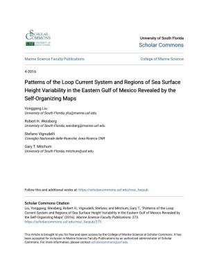 Patterns of the Loop Current System and Regions of Sea Surface Height Variability in the Eastern Gulf of Mexico Revealed by the Self-Organizing Maps