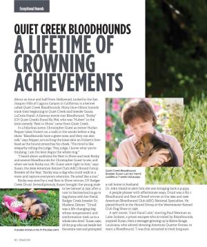 Quiet Creek Bloodhounds a Lifetime of Crowning Achievements