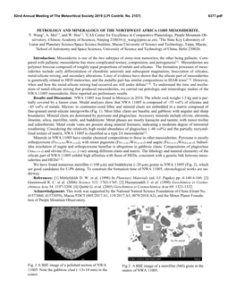 Petrology and Mineralogy of the Northwest Africa 11005 Mesosiderite. Y