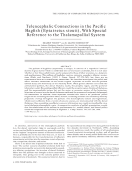 Telencephalic Connections in the Pacific Hagfish (Eptatretus Stouti)