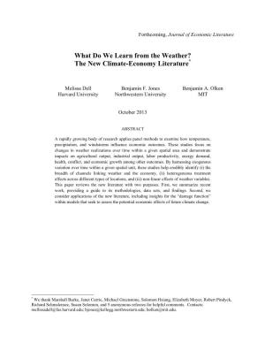 What Do We Learn from the Weather? the New Climate-Economy Literature*