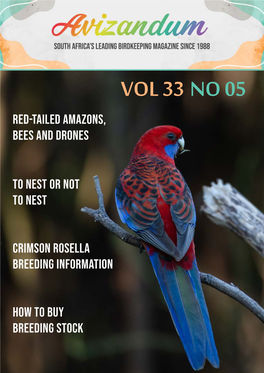 To Nest Or Not to Nest How to Buy Breeding Stock Crimson Rosella