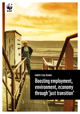 Boosting Employment, Environment, Economy Through ‘Just Transition’ Authors and Contributors