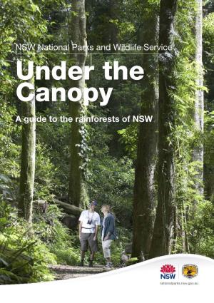 Under the Canopy: a Guide to the Rainforests Of