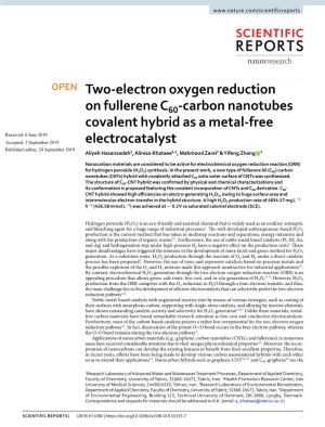 Carbon Nanotubes Covalent Hybrid As a Metal-Free Electrocatalyst