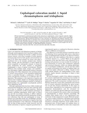 Cephalopod Coloration Model. I. Squid Chromatophores and Iridophores