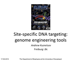 Site-Specific DNA Targeting: Genome Engineering Tools Andrew Kuznetsov Freiburg I.Br