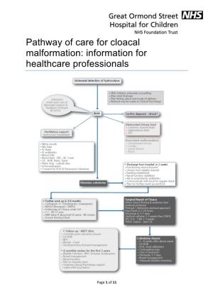 Pathway of Care for Cloacal Malformation: Information for Healthcare Professionals