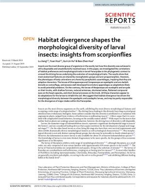 Habitat Divergence Shapes the Morphological Diversity Of