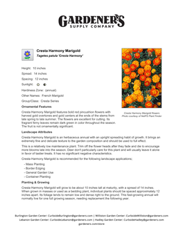 Gardener's Supply Company Cresta Harmony Marigold