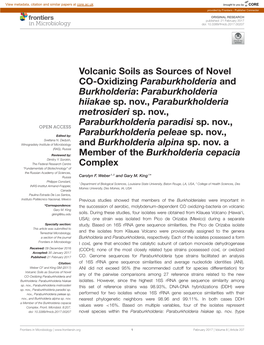 Volcanic Soils As Sources of Novel CO-Oxidizing Paraburkholderia and Burkholderia: Paraburkholderia Hiiakae Sp