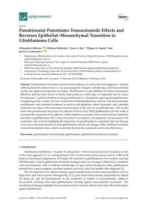 Panobinostat Potentiates Temozolomide Effects and Reverses Epithelial–Mesenchymal Transition in Glioblastoma Cells