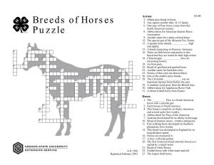 Breeds of Horses Puzzle