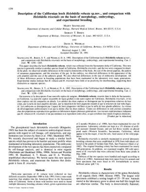 Helobdella Robusta Sp.Nov., and Comparison with Helobdella Triserialis on the Basis of Morphology, Embryology, and Experimental Breeding