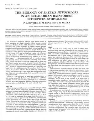 The Biology of Batesia Hypochlora in an Ecuadorian Rainforest (Lepidoptera: Nymphalidae) P