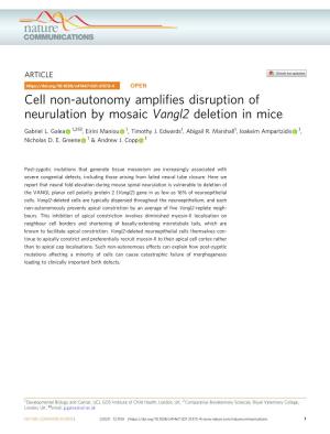 Cell Non-Autonomy Amplifies Disruption of Neurulation by Mosaic