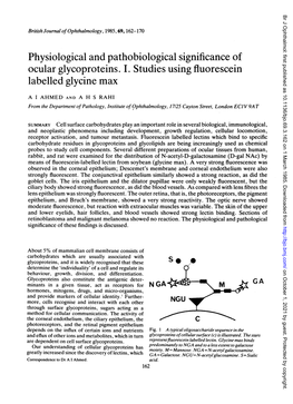 Physiological and Pathobiological Significance of Ocular Glycoproteins