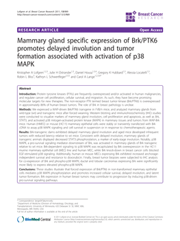 Mammary Gland Specific Expression of Brk/PTK6 Promotes Delayed