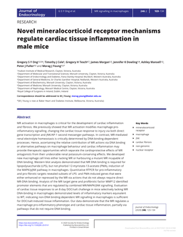 Novel Mineralocorticoid Receptor Mechanisms Regulate Cardiac Tissue Inflammation in Male Mice