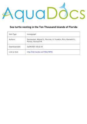 Sea Turtle Nesting in the Ten Thousand Islands Offlorida August