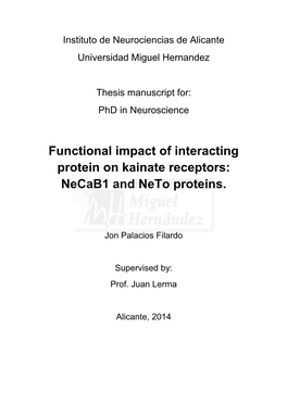 Functional Impact of Interacting Protein on Kainate Receptors: Necab1 and Neto Proteins